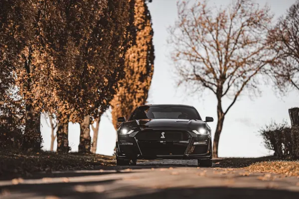 SuperNopea Casino Application Android/iOS